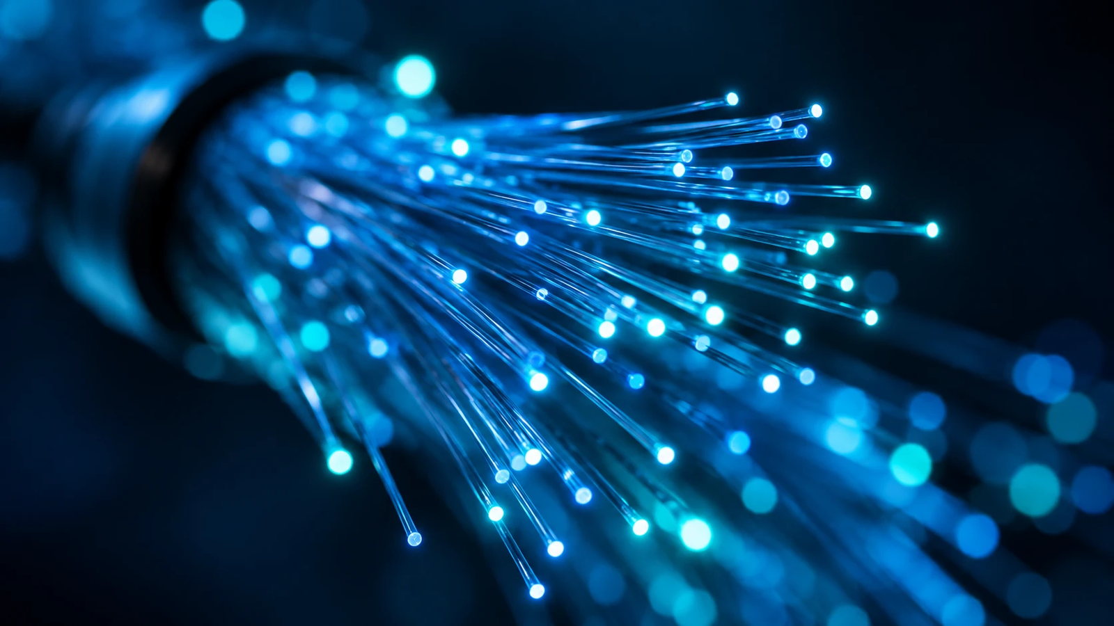 Fibre-optic strands glowing against a dark background